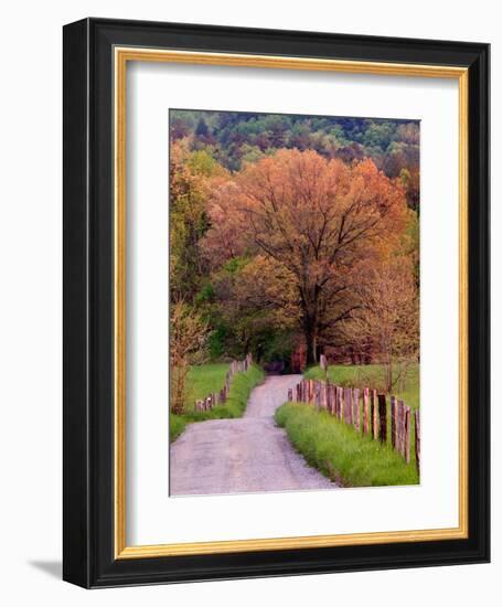 Sparks Lane, Cades Cove, Great Smoky Mountains National Park, Tennessee, USA-Adam Jones-Framed Photographic Print