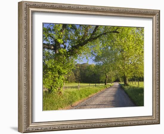 Sparks Lane, Great Smoky Mountains National Park, Tennessee, Usa-Adam Jones-Framed Photographic Print