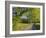 Sparks Lane, Great Smoky Mountains National Park, Tennessee, Usa-Adam Jones-Framed Photographic Print