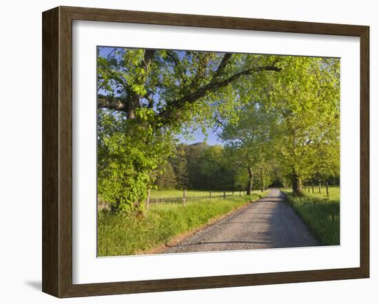 Sparks Lane, Great Smoky Mountains National Park, Tennessee, Usa-Adam Jones-Framed Photographic Print