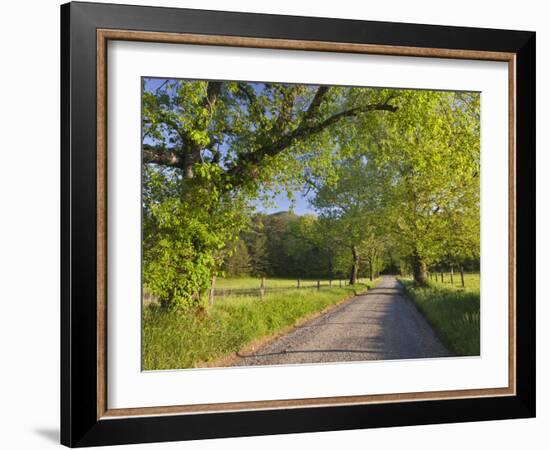 Sparks Lane, Great Smoky Mountains National Park, Tennessee, Usa-Adam Jones-Framed Photographic Print