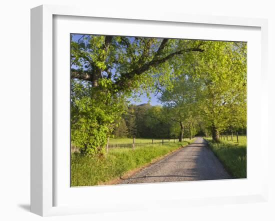 Sparks Lane, Great Smoky Mountains National Park, Tennessee, Usa-Adam Jones-Framed Photographic Print