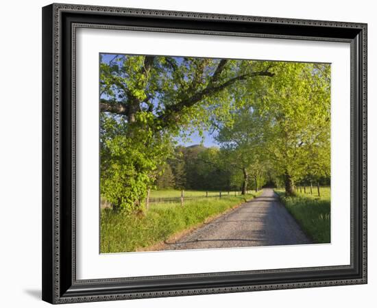 Sparks Lane, Great Smoky Mountains National Park, Tennessee, Usa-Adam Jones-Framed Photographic Print