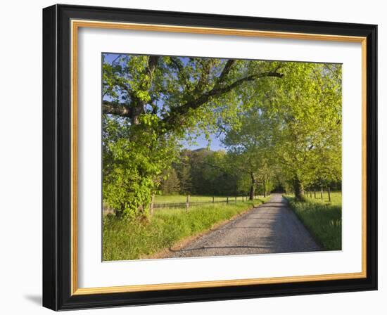 Sparks Lane, Great Smoky Mountains National Park, Tennessee, Usa-Adam Jones-Framed Photographic Print