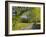 Sparks Lane, Great Smoky Mountains National Park, Tennessee, Usa-Adam Jones-Framed Photographic Print