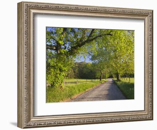 Sparks Lane, Great Smoky Mountains National Park, Tennessee, Usa-Adam Jones-Framed Photographic Print