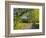 Sparks Lane, Great Smoky Mountains National Park, Tennessee, Usa-Adam Jones-Framed Photographic Print