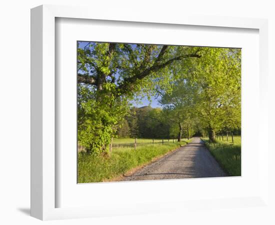 Sparks Lane, Great Smoky Mountains National Park, Tennessee, Usa-Adam Jones-Framed Photographic Print