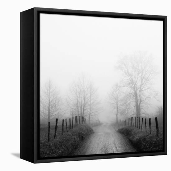 Sparks Lane in Fog-Nicholas Bell-Framed Premier Image Canvas