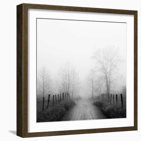 Sparks Lane in Fog-Nicholas Bell-Framed Photographic Print