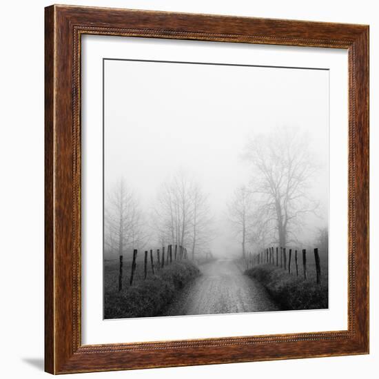 Sparks Lane in Fog-Nicholas Bell-Framed Photographic Print