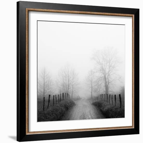 Sparks Lane in Fog-Nicholas Bell-Framed Photographic Print