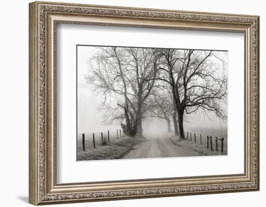 Sparks Lane, Late Autumn-Nicholas Bell-Framed Photographic Print