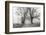 Sparks Lane, Late Autumn-Nicholas Bell-Framed Photographic Print