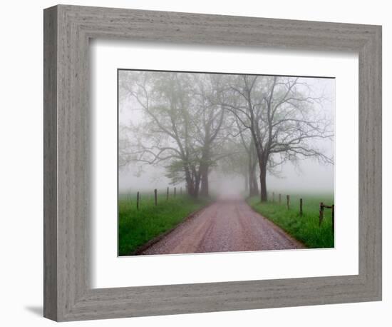 Sparks Lane on Foggy Morning, Cades Cove, Great Smoky Mountains National Park, Tennessee, USA-Adam Jones-Framed Photographic Print