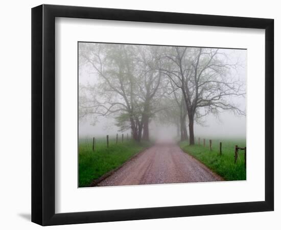 Sparks Lane on Foggy Morning, Cades Cove, Great Smoky Mountains National Park, Tennessee, USA-Adam Jones-Framed Photographic Print