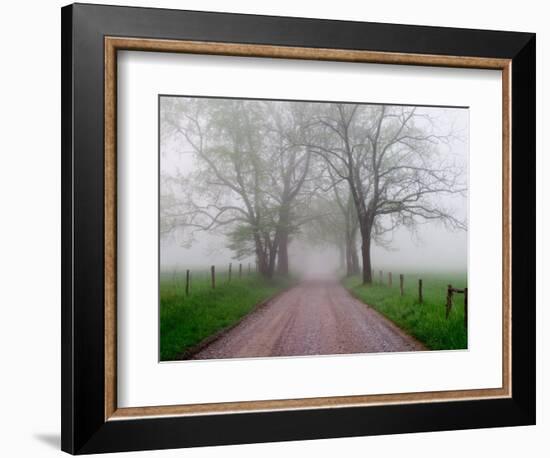 Sparks Lane on Foggy Morning, Cades Cove, Great Smoky Mountains National Park, Tennessee, USA-Adam Jones-Framed Photographic Print