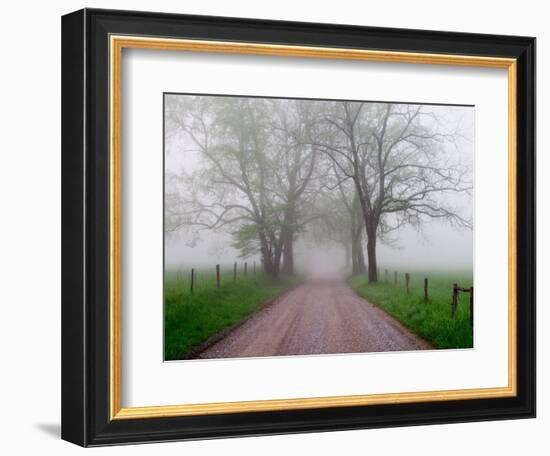 Sparks Lane on Foggy Morning, Cades Cove, Great Smoky Mountains National Park, Tennessee, USA-Adam Jones-Framed Photographic Print