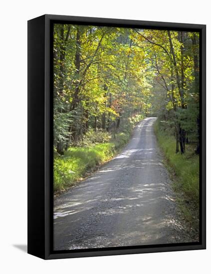 Sparks Lane-J.D. Mcfarlan-Framed Premier Image Canvas