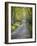 Sparks Lane-J.D. Mcfarlan-Framed Photographic Print