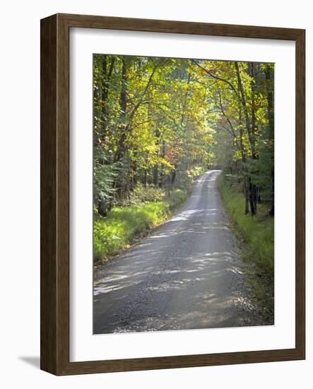 Sparks Lane-J.D. Mcfarlan-Framed Photographic Print