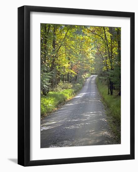 Sparks Lane-J.D. Mcfarlan-Framed Photographic Print