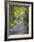 Sparks Lane-J.D. Mcfarlan-Framed Photographic Print