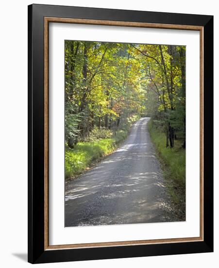 Sparks Lane-J.D. Mcfarlan-Framed Photographic Print