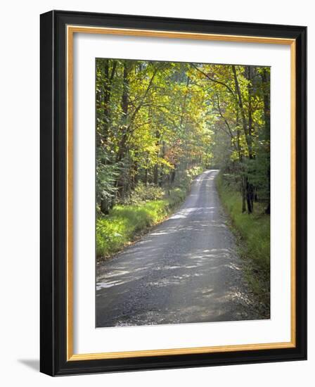 Sparks Lane-J.D. Mcfarlan-Framed Photographic Print