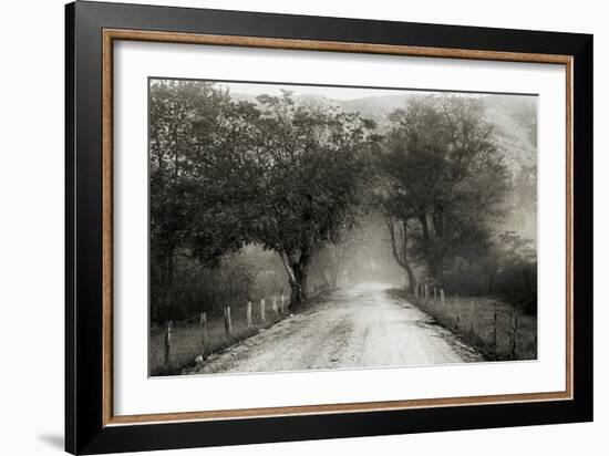Sparks Lane-Nicholas Bell Photography-Framed Photographic Print