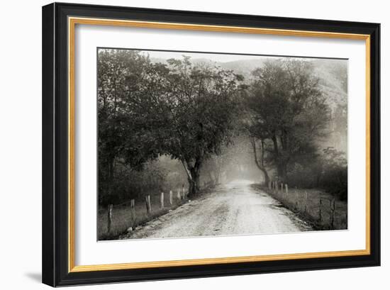 Sparks Lane-Nicholas Bell Photography-Framed Photographic Print