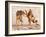 Sparring Jackals, Etosha, 2018-Eric Meyer-Framed Photographic Print