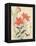 Sparrow and Tiger Lilies-Bairei Kono-Framed Premier Image Canvas