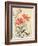 Sparrow and Tiger Lilies-Bairei Kono-Framed Giclee Print