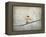 Sparrow Braving the Cold-Jai Johnson-Framed Premier Image Canvas