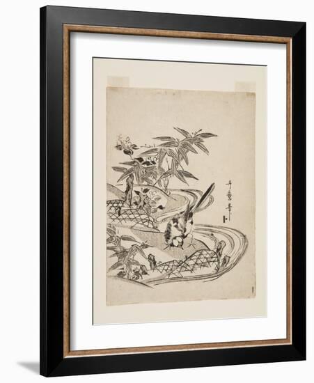 Sparrow (Colour Woodblock Print)-Kitagawa Utamaro-Framed Giclee Print