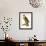 Sparrow Hawk-null-Framed Giclee Print displayed on a wall