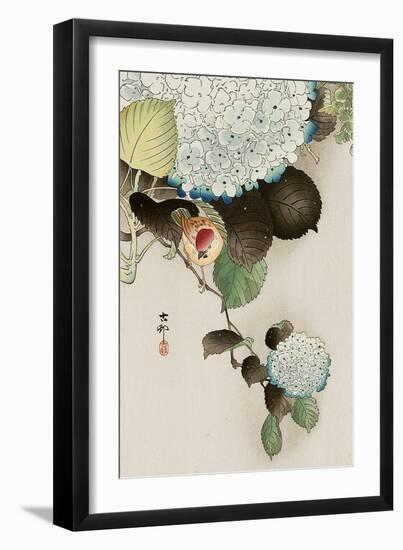 Sparrow on Hydrangea-Koson Ohara-Framed Giclee Print