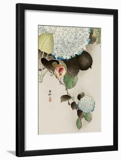 Sparrow on Hydrangea-Koson Ohara-Framed Giclee Print