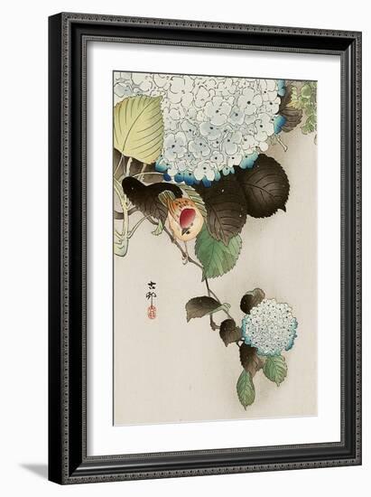 Sparrow on Hydrangea-Koson Ohara-Framed Giclee Print