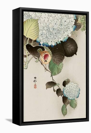 Sparrow on Hydrangea-Koson Ohara-Framed Premier Image Canvas