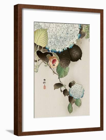 Sparrow on Hydrangea-Koson Ohara-Framed Premium Giclee Print