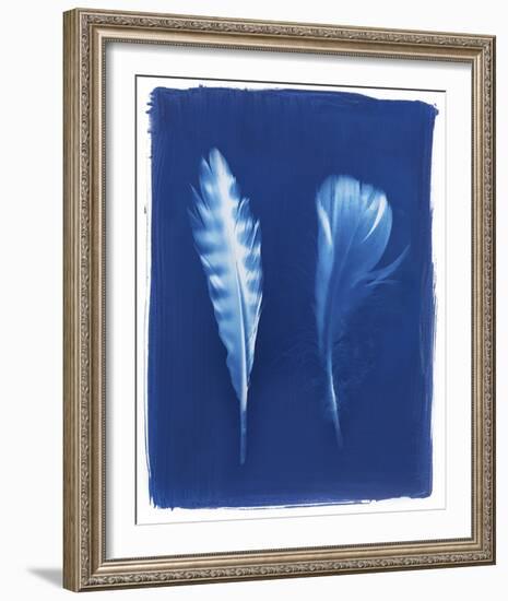 Sparrowhawk Feathers-Sarah Cheyne-Framed Giclee Print