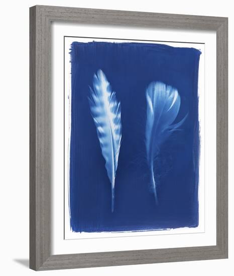 Sparrowhawk Feathers-Sarah Cheyne-Framed Giclee Print