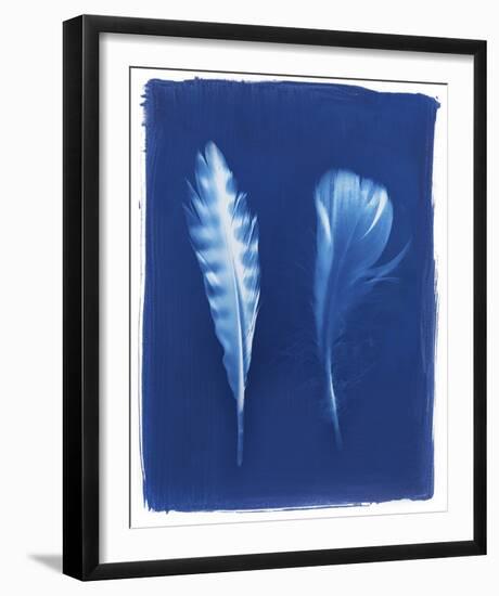 Sparrowhawk Feathers-Sarah Cheyne-Framed Giclee Print