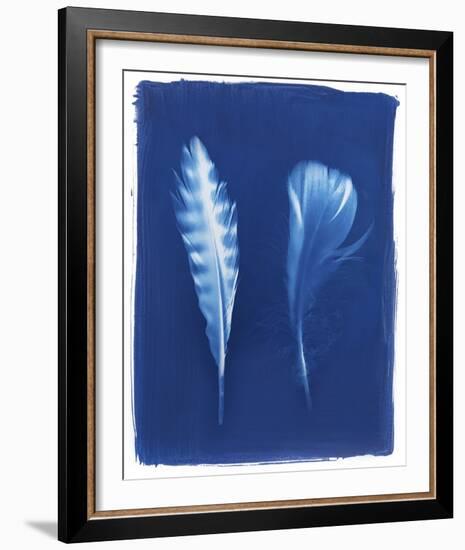 Sparrowhawk Feathers-Sarah Cheyne-Framed Giclee Print