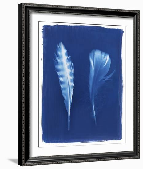 Sparrowhawk Feathers-Sarah Cheyne-Framed Giclee Print