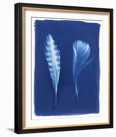 Sparrowhawk Feathers-Sarah Cheyne-Framed Giclee Print