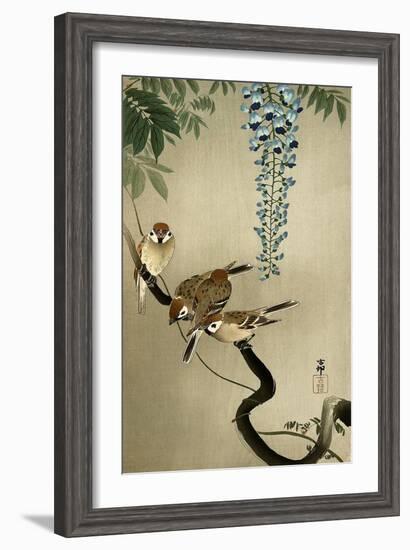 Sparrows and Wisteria-Koson Ohara-Framed Giclee Print