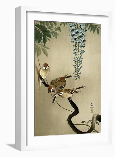 Sparrows and Wisteria-Koson Ohara-Framed Giclee Print